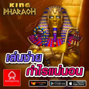 kkbet555 เว็บตรง